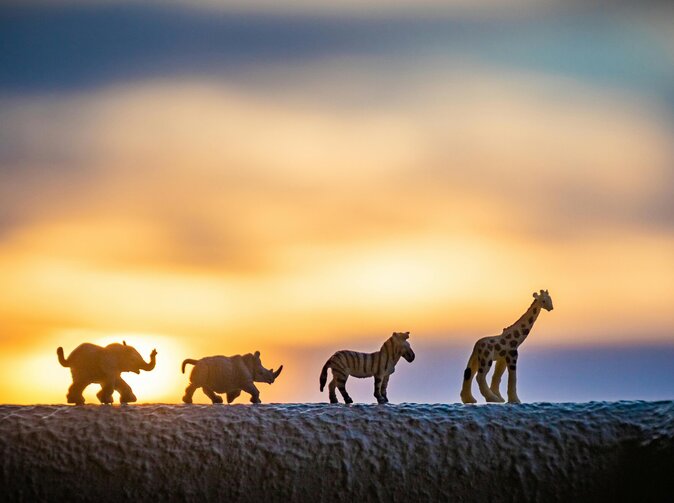 Pohled do dálky… Vývoj pojistného trhu v Jižní Africe