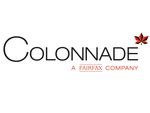 Colonnade Insurance S.A., organizační složka