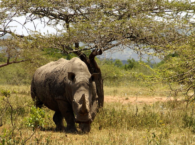 Allianz: Jak je to s repatriací zraněných a nemocných turistů?