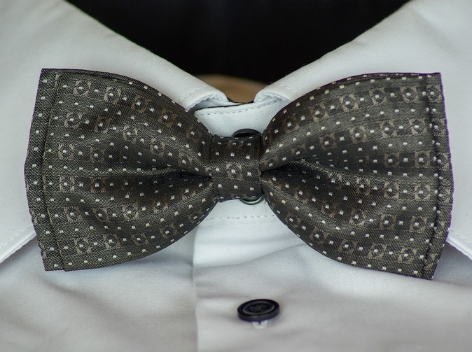 Motýlek pro život pomohl kardiakům a překonal světový rekord