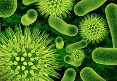 Na chřipku zemřelo už 31 Čechů. Epidemie trvá!