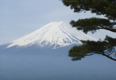 Specifika japonského pojistného trhu
