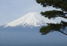 
			Specifika japonského pojistného trhu