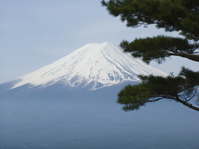 Specifika japonského pojistného trhu