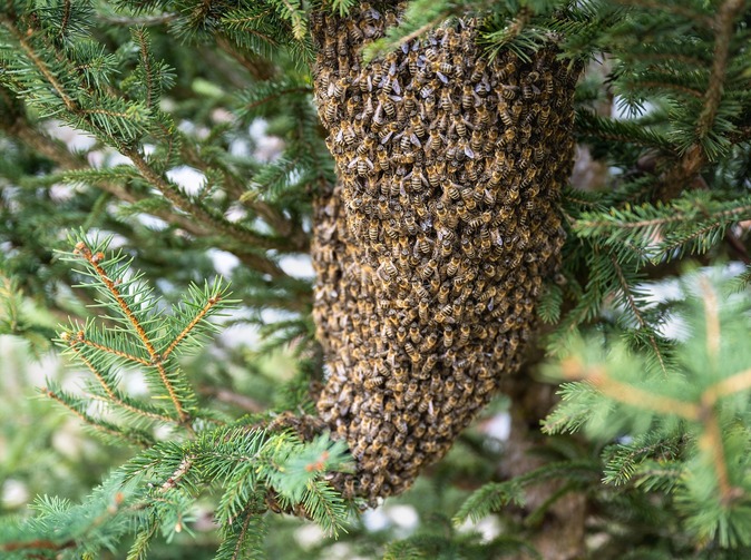 2Q 2025: R+V Versicherung vykazuje pojistné +9,2 %. Prudential provozní zisk 6 %