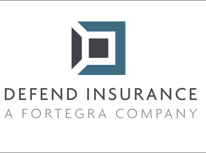DEFEND INSURANCE hledá: GAP TEAM LEADER