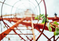 TOP 30 pojišťovacích makléřů za rok 2024 na Slovensku dle oPoisteni.sk