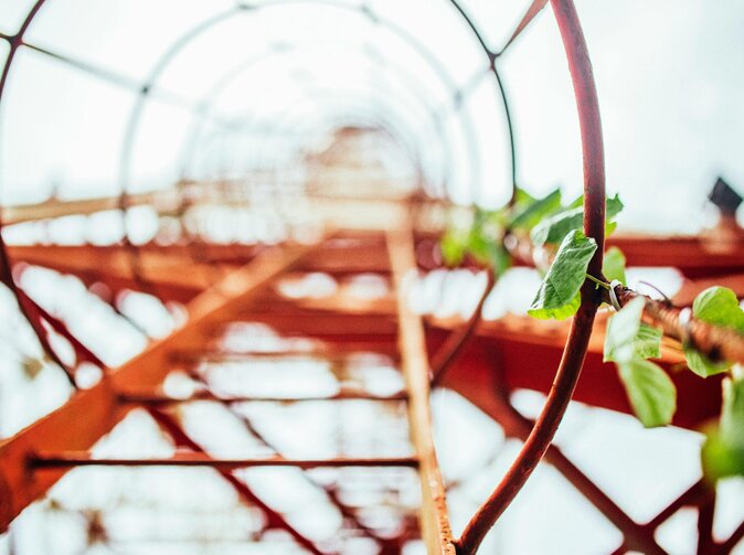 TOP 30 pojišťovacích makléřů za rok 2024 na Slovensku dle oPoisteni.sk