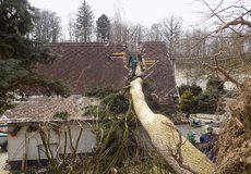 Spadlý strom přeťal dům vedví, škodu uhradila Maxima pojišťovna