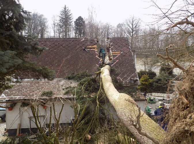 Spadlý strom přeťal dům vedví, škodu uhradila Maxima pojišťovna