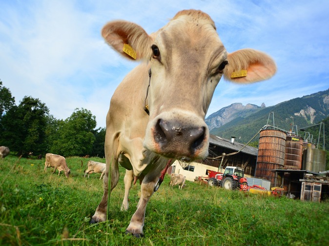 Změna klimatu: Jak se vede německým zemědělským pojistitelům?
