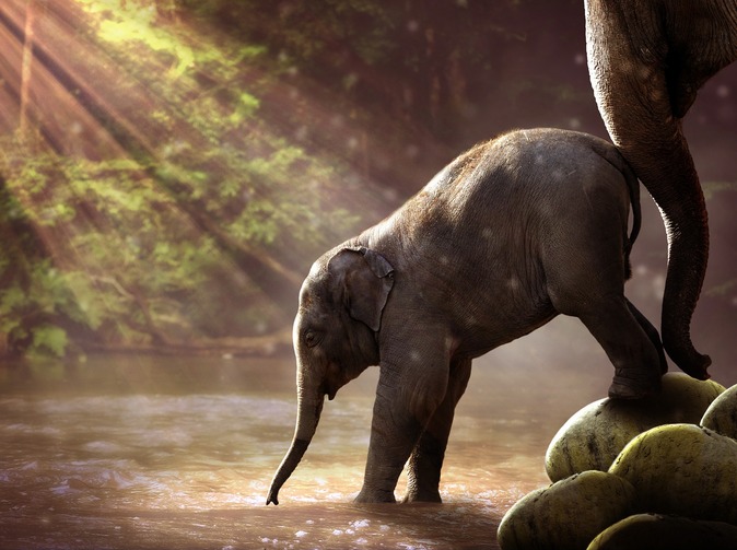 Cestovní pojištění: Na co si dát pozor v době koronaviru