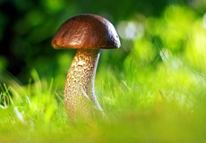 
			Léto 2023: Jak pomáhala asistence k cestovnímu pojištění klientům UNIQA