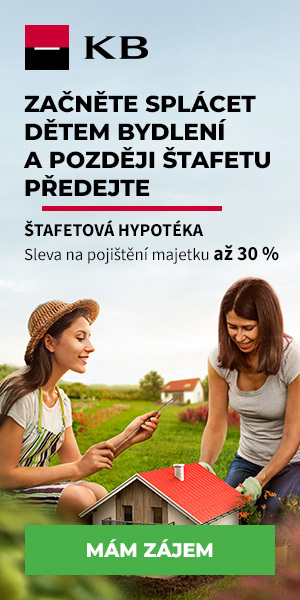 Stafetova hypoteka 300x600 Rodice Pojisteni