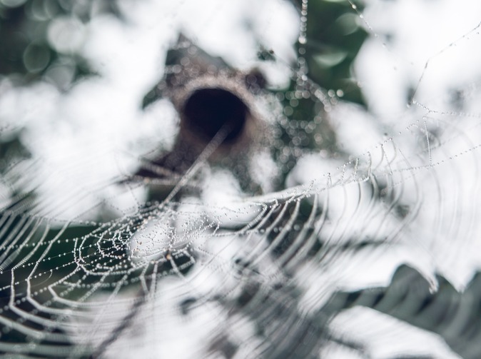 Postoj Insurance Europe k návrhu Evropského prostoru pro zdravotní data 