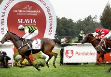 
			Slavia pojišťovna podpoří Velkou pardubickou i v dalších letech