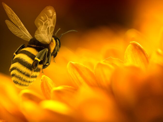 Jak se správně pojistit v digitálním světě?