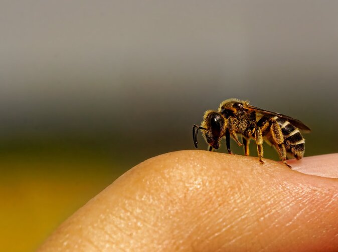 Německé: Počet stížností na pojišťovny prudce vzrostl, hlavně v autopojištění