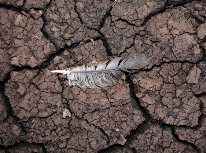 Koronavirová krize versus udržitelnost v Německu