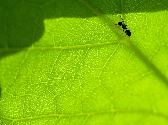 Také ve Spojeném království se přezkoumává Solvency II