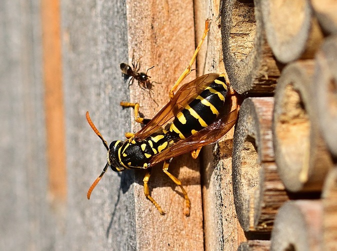 Predikce MF: Ekonomika letos poroste o 3,1 %. V roce 2022 o 3,7 %