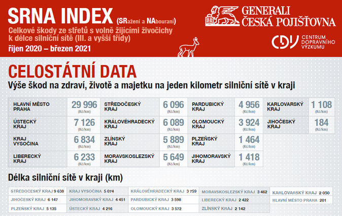 SRNA INDEX 2021 1