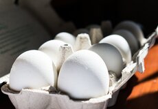ČNB k poskytování slev pojišťovacím zprostředkovatelem formou cashbacku