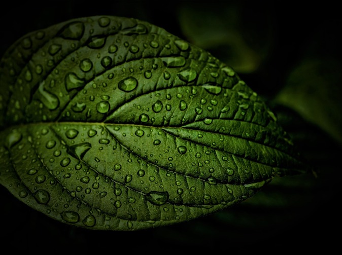 Allianz radí: Jak postupovat při likvidaci pojistné události způsobené povodněmi?