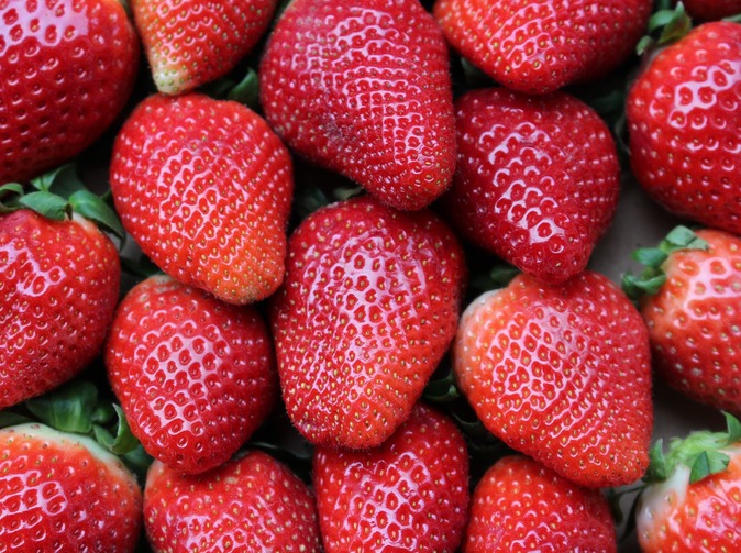 3Q 2023:  VIG má solidní výkonnost s trvalým dvouciferným růstem pojistného