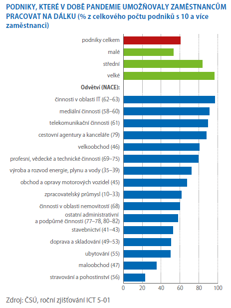 Práci na dálku umožňují především velké podniky 1