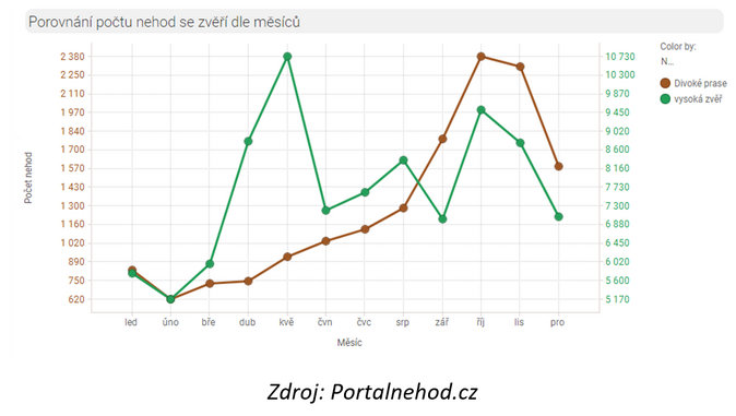 Portál nehod Divočáci ohrožují řidiče – pozor na ně zejména po páté ráno 1