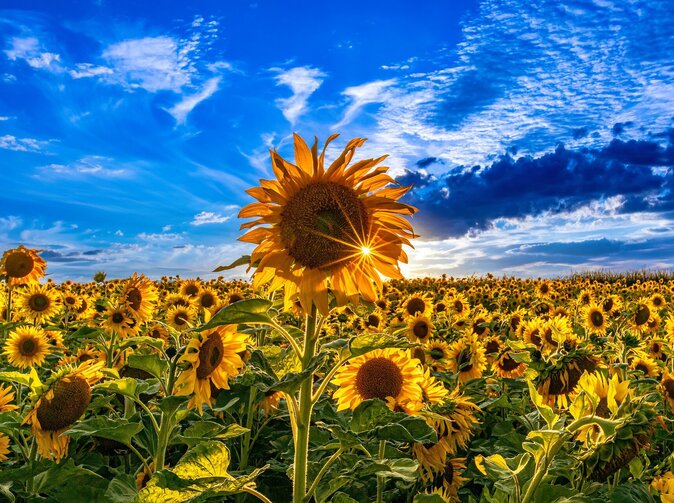 Důchodová gramotnost: Otázka, kterou řeší statisíce Čechů