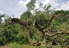 
			Mohla klimatická změna za tornádo na jižní Moravě?