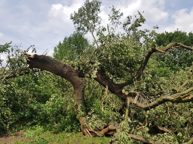 Přírodní katastrofy ve světě v 1. pololetí 2022. Jaké jsou škody?