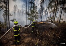 Požár v národním parku České Švýcarsko byl zlikvidován