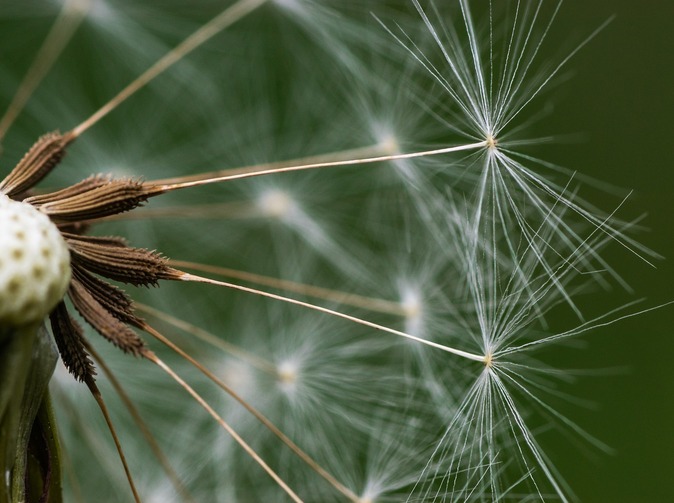 ČNB ponechala sazbu na sedmi procentech