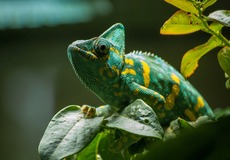 Připoutejte se, prosím. Investiční let na autopilota mohou vystřídat turbulence