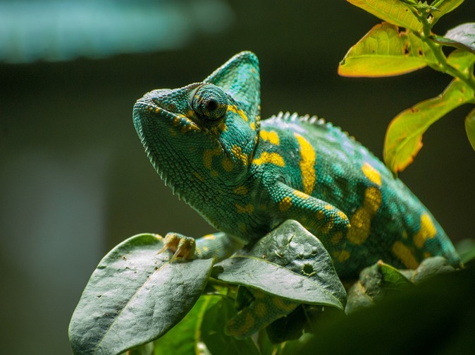 Připoutejte se, prosím. Investiční let na autopilota mohou vystřídat turbulence