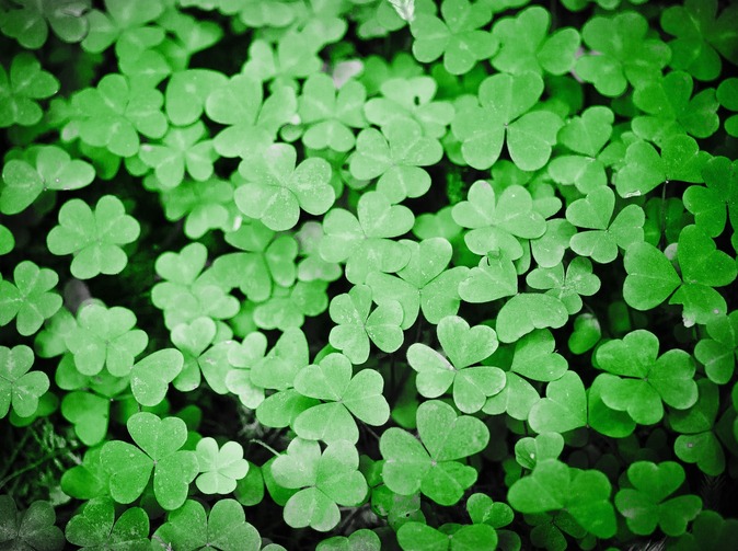 Česká asociace pojišťoven slaví 30 let své existence