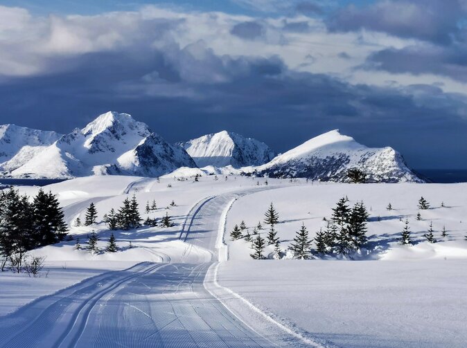 Německo: Každoroční škody způsobené mrazem dosahují výše 115 mil. EUR