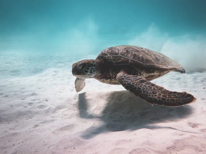 Inflace tak zůstala na stejné úrovni jako v listopadu