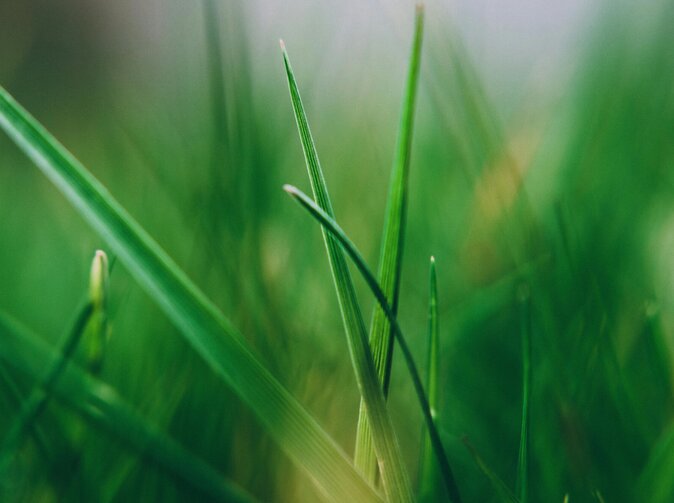 Kamil Blažek: S koncem spalovacích motorů to nemusí být tak horké