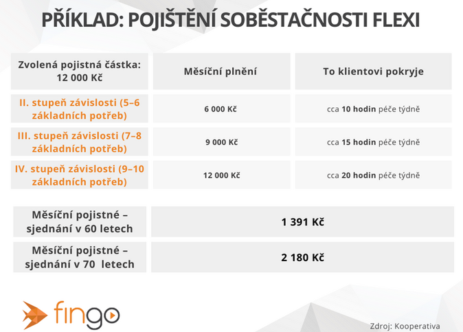 Pojištění dlouhodobé péče pomůže stárnoucí populaci 2