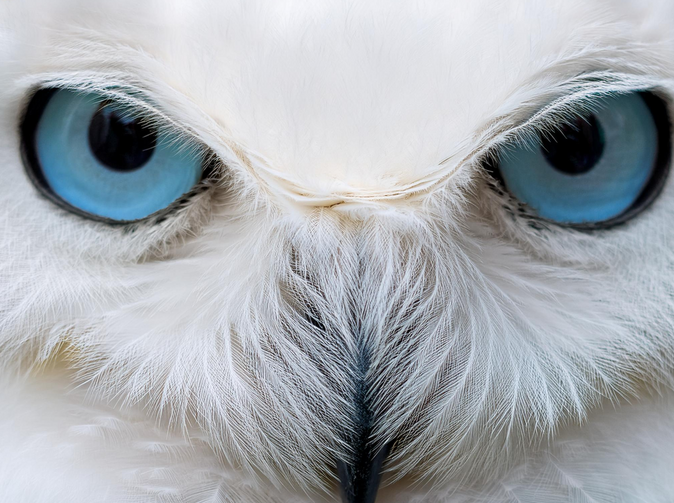 ČAP ke 3Q 2024: Pojišťovnám dramaticky rostou náklady na pojistné plnění