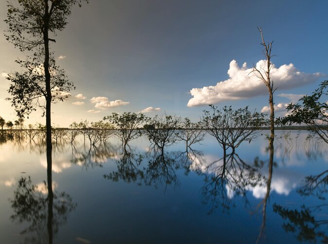 ČAP k 2024: Pojišťovnám dramaticky rostly náklady na pojistné plnění