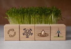 ČNB: Ekonomický růst dál nabírá na síle