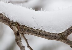 Úraz na zledovatělém chodníku aneb Jak se chránit před nástrahami zimy