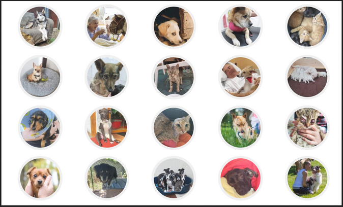 Dáváme věci do pohybu 1 Dáváme věci do pohybu 1